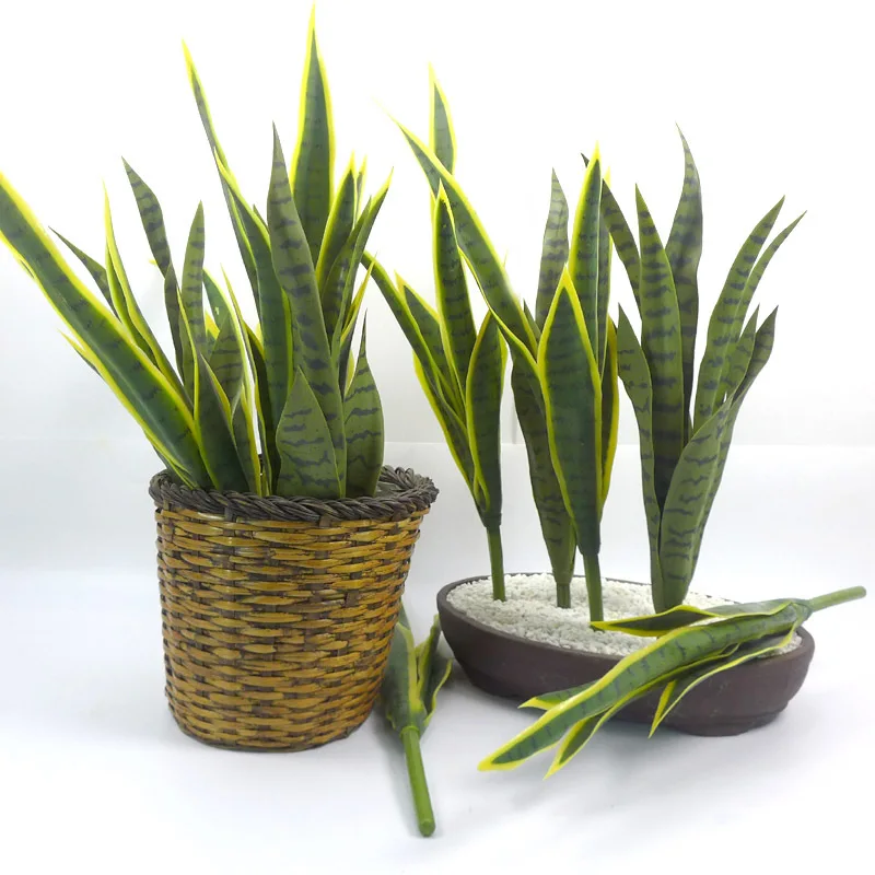 Simulation Plant Tiger Skin High Quality Orchid Garden Home Decoration Accessories Yellow Green Plant Bonsai Decoration 1 PCS
Simulation Plant Tiger Skin High Quality Orchid Garden Home Decoration Accessories Yellow Green Plant Bonsai Decoration 1 PCS