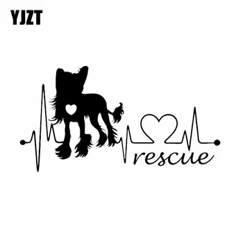 YJZT 19CM*10.1CM Chinese Crested Dog Rescue Heartbeat Vinyl Bumper Car Sticker Black/Silver C2-3269
YJZT 19CM*10.1CM Chinese Crested Dog Rescue Heartbeat Vinyl Bumper Car Sticker Black/Silver C2-3269