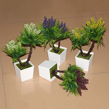 Bottle+flowers Potted plants indoor green small indoor potted plant factory direct indoor plant flower pot quality
Bottle+flowers Potted plants indoor green small indoor potted plant factory direct indoor plant flower pot quality