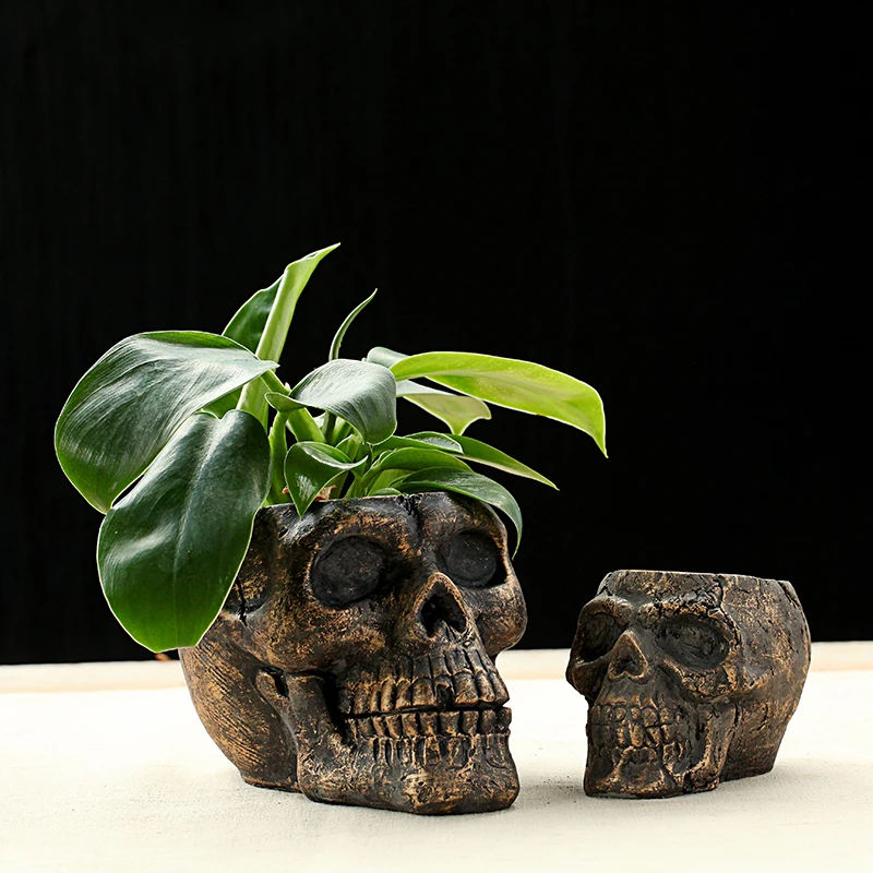 Plantas Artificiais Pots For Orchids Huerto Vertical Maceta Blanca Balkon Decoration Skull Head Vase Flower Pots Planters
Plantas Artificiais Pots For Orchids Huerto Vertical Maceta Blanca Balkon Decoration Skull Head Vase Flower Pots Planters