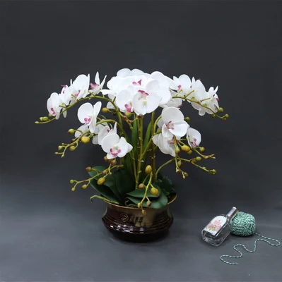 New Arrival Modern Ceramic Creative Vase Pot Home Decor Craft Decoration Object Porcelain Tabletop Butterfly Orchid Vase Sets
New Arrival Modern Ceramic Creative Vase Pot Home Decor Craft Decoration Object Porcelain Tabletop Butterfly Orchid Vase Sets