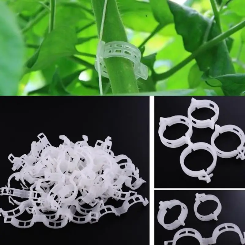 50Pcs/Pack 25MM Plastic Garden Plant Support Clips Circles Types Fixed Vine Cage Vegetables Flowers Tied Bundle Branch Clamping
50Pcs/Pack 25MM Plastic Garden Plant Support Clips Circles Types Fixed Vine Cage Vegetables Flowers Tied Bundle Branch Clamping