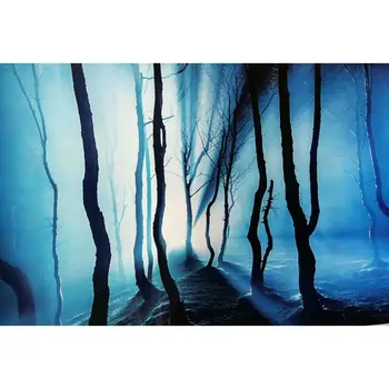 8019 19.3" x 48" Double Sided Aquarium Decoration Rock / Night Woods Fish Tank Background Picture Poster
8019 19.3" x 48" Double Sided Aquarium Decoration Rock / Night Woods Fish Tank Background Picture Poster