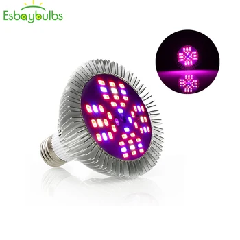 48W 48 led growing light for plants Fitolampa full spectrum plant phytolamp For Indoor Greenhouse Veg Hydroponic plant Grow Tent
48W 48 led growing light for plants Fitolampa full spectrum plant phytolamp For Indoor Greenhouse Veg Hydroponic plant Grow Tent