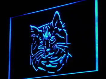 i987 Pixie Bob Cat Kitty Shop Pet Decor Light Signs On/Off Switch 20+ Colors 5 Sizes
i987 Pixie Bob Cat Kitty Shop Pet Decor Light Signs On/Off Switch 20+ Colors 5 Sizes