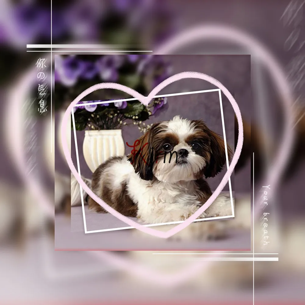 Newest 5D Diamond Painting Dog &Flower DIY Square Diamond Embroidery Kits Cartoon Diamond Paste Cross Stitch
Newest 5D Diamond Painting Dog &Flower DIY Square Diamond Embroidery Kits Cartoon Diamond Paste Cross Stitch