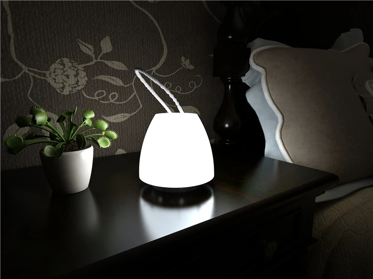 Mushroom lantern7