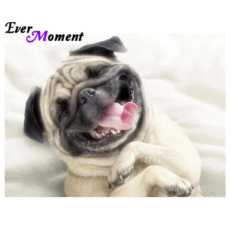 Ever Moment Diamond Painting Dog Animal Picture Of Rhinestone Handmade Home Decoration Diamond Embroidery Mosaic S2F1882
Ever Moment Diamond Painting Dog Animal Picture Of Rhinestone Handmade Home Decoration Diamond Embroidery Mosaic S2F1882