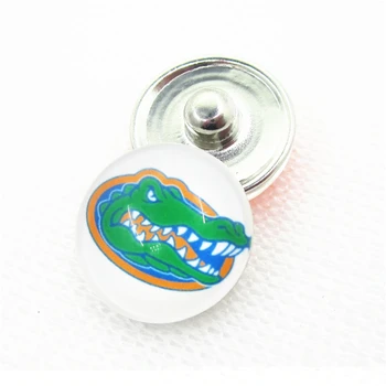 20pcs/lot University of Florida Snap Buttons for 18mm US Sports Teams Snap Bracelet&Bangles DIY Snap Jewelry Charms
20pcs/lot University of Florida Snap Buttons for 18mm US Sports Teams Snap Bracelet&Bangles DIY Snap Jewelry Charms