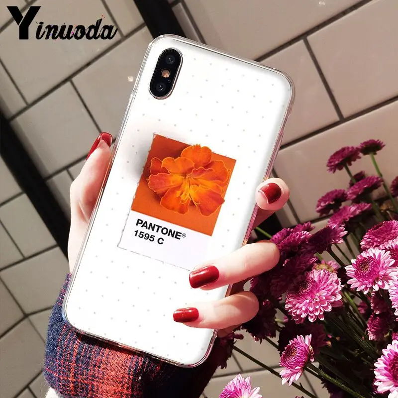 Pantone Candy Color Flower