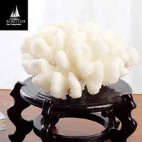 Various Shapes Natural White Coral Rock Beautiful Aquarium Decoration Landscape Ornaments Home Garden Fish Aquatic Pet Supplies image