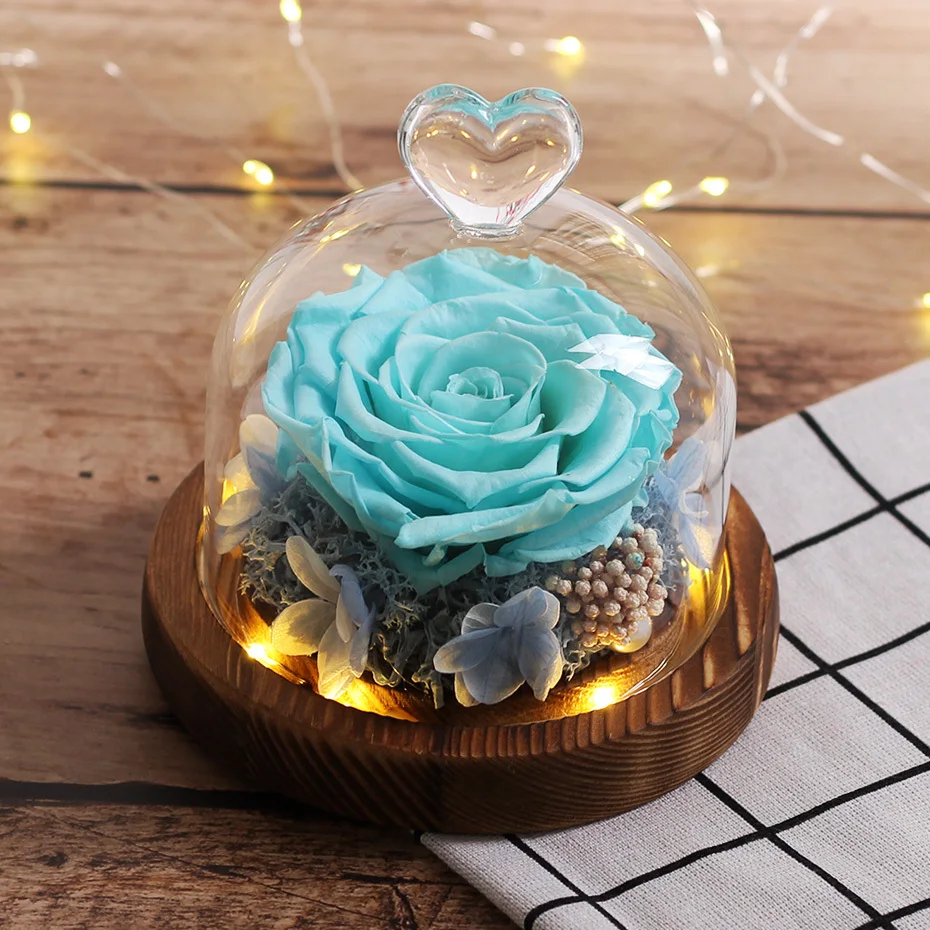 Royal Blue Eternal Exclusive Rose Immortal Flower Beauty And The Beast Rose Led Lamp Birthday Christmas Gift Mother Day Present
Royal Blue Eternal Exclusive Rose Immortal Flower Beauty And The Beast Rose Led Lamp Birthday Christmas Gift Mother Day Present