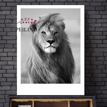Lion Poster Animal Print Wall Art Painting Decorative Picture For Living Room Black And White Modern Home Decor
Lion Poster Animal Print Wall Art Painting Decorative Picture For Living Room Black And White Modern Home Decor