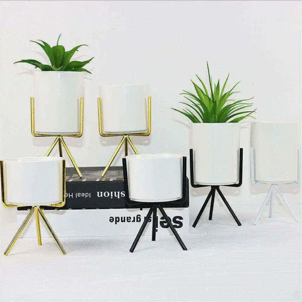 Nordic Storage Jars with Black Gold White Frame Modern Pencil Holder Chic Ceramic Floral Machine Flower Vase Storage Jar S M L
Nordic Storage Jars with Black Gold White Frame Modern Pencil Holder Chic Ceramic Floral Machine Flower Vase Storage Jar S M L