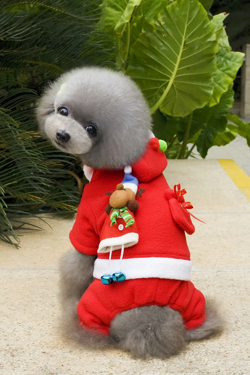 3504879378_299449477