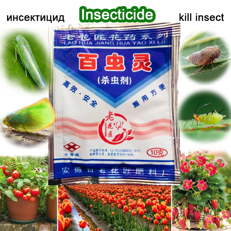 Bonsai Plant Insecticide Compound Medicinal Powder Kill Pest Insect Spray Watering Garden Vegetables Help Flower Grow Health
Bonsai Plant Insecticide Compound Medicinal Powder Kill Pest Insect Spray Watering Garden Vegetables Help Flower Grow Health