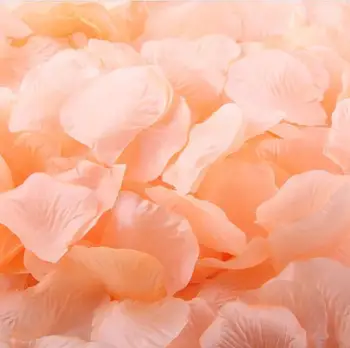 Faux fabric rose petals artificial silk flower for wedding party floral arrangement christmas ornament, 4000pcs
Faux fabric rose petals artificial silk flower for wedding party floral arrangement christmas ornament, 4000pcs