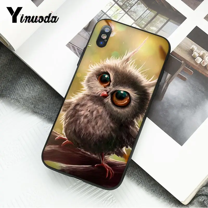 Animal Cute Cartoon Owl