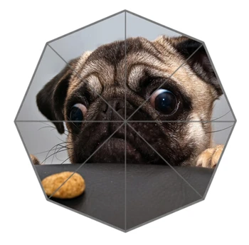 Friend Birthday Gift Good Quality Umbrellas Cute And Funny Pug Dog Patten For Kids Portable Foldable Umbrellas Outdoor Umbrella
Friend Birthday Gift Good Quality Umbrellas Cute And Funny Pug Dog Patten For Kids Portable Foldable Umbrellas Outdoor Umbrella