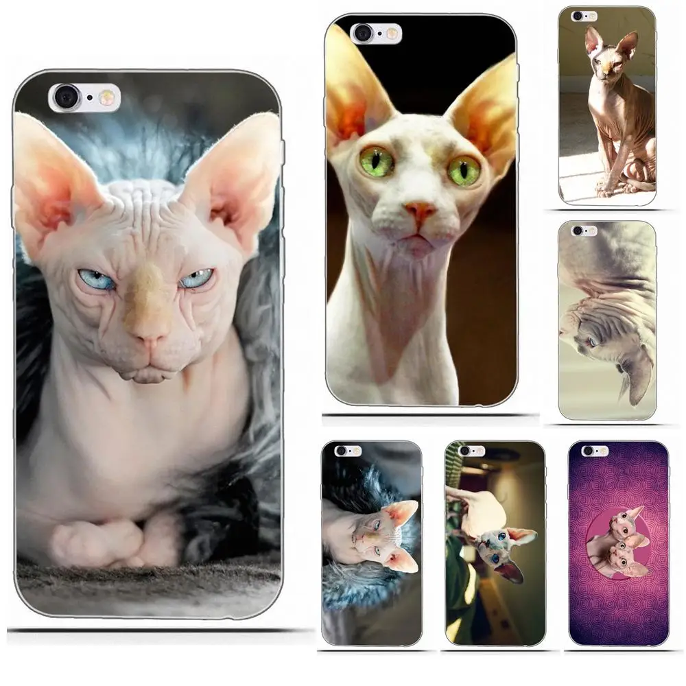 Sphynx Cat Fashion Design Skin Thin Pc Cell Case For Xiaomi Redmi 5 4A 3 3S Pro Mi4 Mi4i Mi5 Mi5S Mi Max Mix 2 Note 3 4 Plus
Sphynx Cat Fashion Design Skin Thin Pc Cell Case For Xiaomi Redmi 5 4A 3 3S Pro Mi4 Mi4i Mi5 Mi5S Mi Max Mix 2 Note 3 4 Plus
