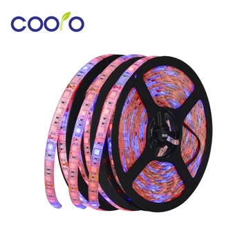 LED Grow light Full Spectrum 5M LED Strip light 5050 LED Flower Plant Phyto Growth lamps For Greenhouse Hydroponic Plant Growing
LED Grow light Full Spectrum 5M LED Strip light 5050 LED Flower Plant Phyto Growth lamps For Greenhouse Hydroponic Plant Growing
