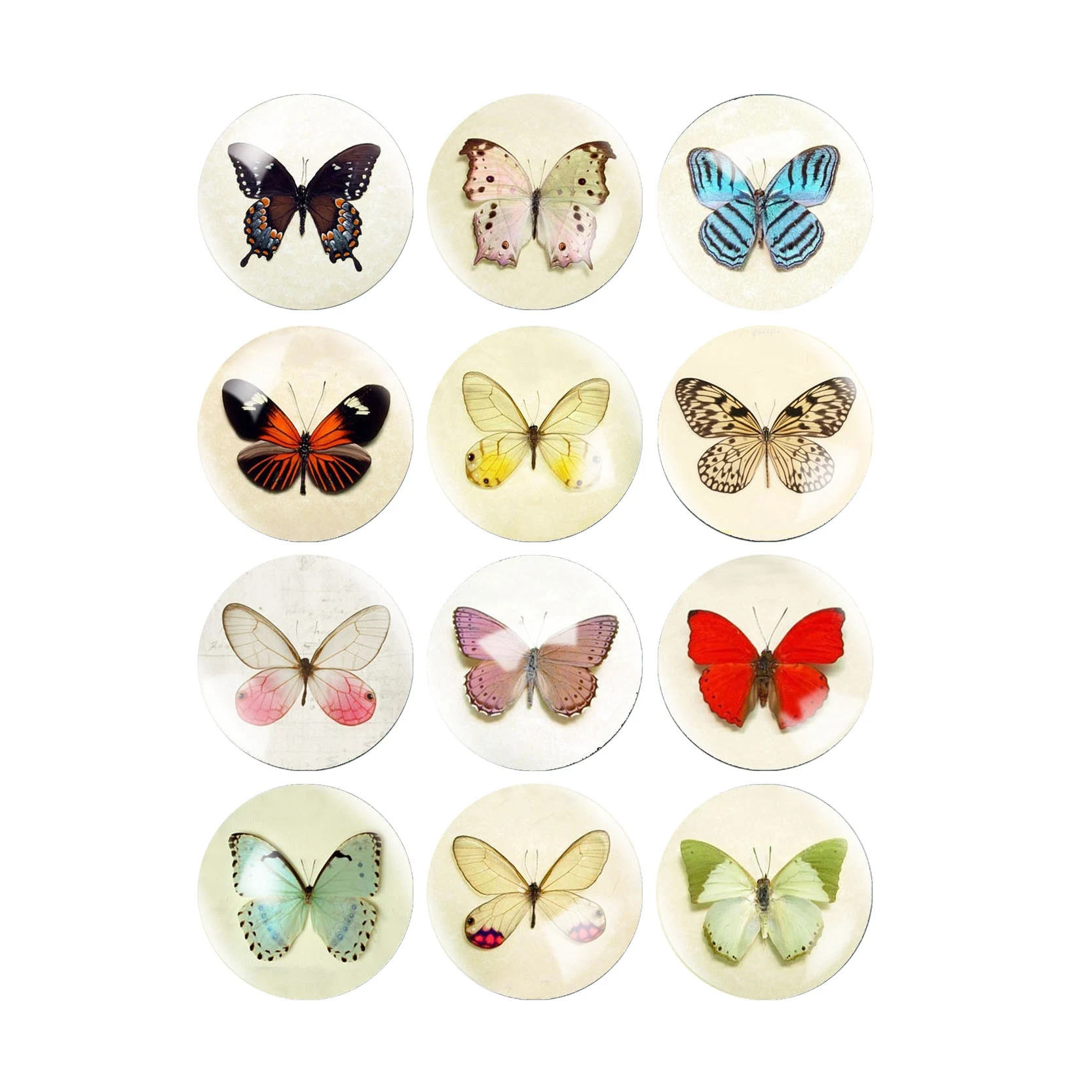 Butterfly 12pcs Mixed 12mm/14mm/16mm/18mm/20mm/22mm/25mm/30mm Round Photo Glass Cabochon Demo Flat Back Making Findings DIY
Butterfly 12pcs Mixed 12mm/14mm/16mm/18mm/20mm/22mm/25mm/30mm Round Photo Glass Cabochon Demo Flat Back Making Findings DIY