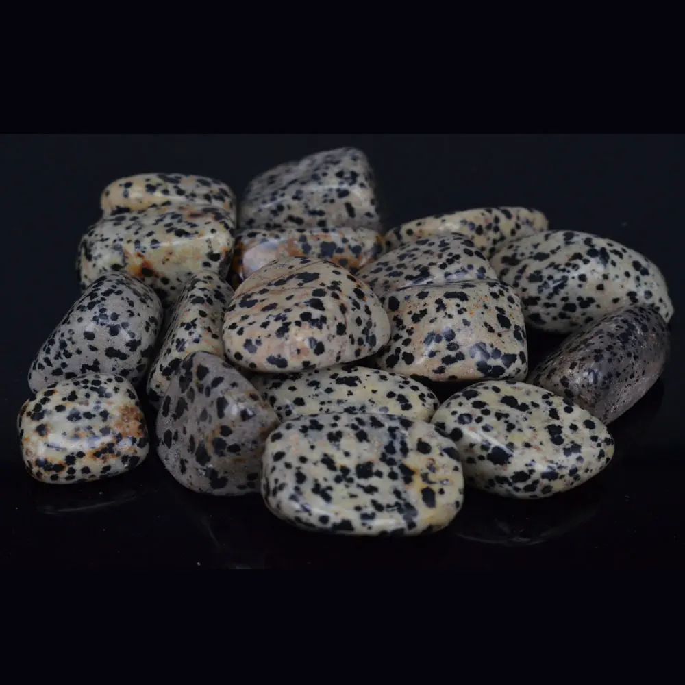 500g/lot Natural Dalmation Jasper Crystal Gem Stone Freeform Tumbled Stones Feng Shui Chakra Healing Reiki Stone
500g/lot Natural Dalmation Jasper Crystal Gem Stone Freeform Tumbled Stones Feng Shui Chakra Healing Reiki Stone