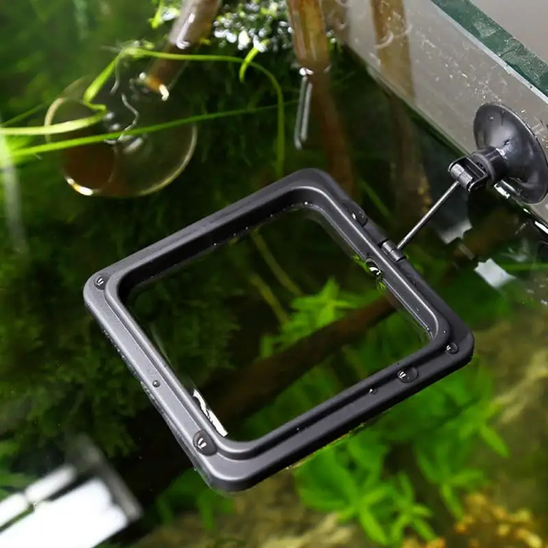 Square Round Aquarium Fish Tank Feeding Ring Floating Food Tray Feeder with Suction Cup Feeding Ring
Square Round Aquarium Fish Tank Feeding Ring Floating Food Tray Feeder with Suction Cup Feeding Ring