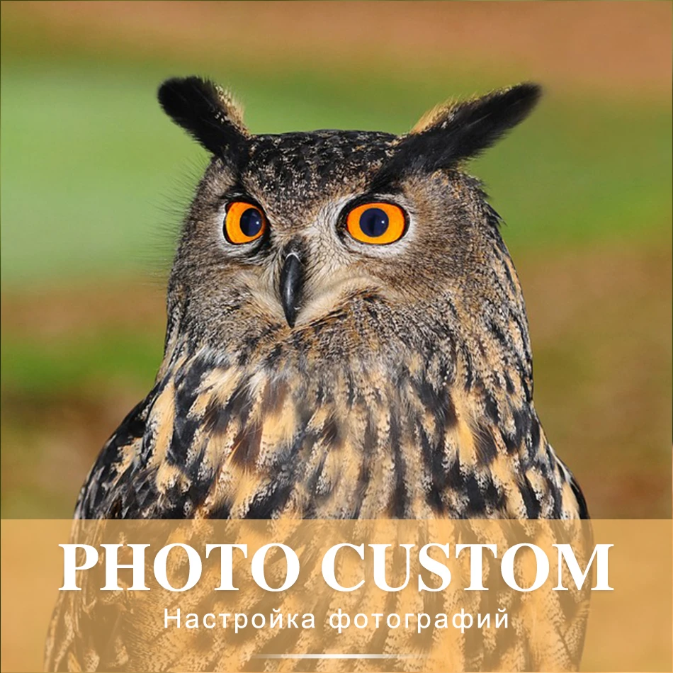 SaShiKo Animals Photo Custom Diamond Painting Full Square Picture of Rhinestone DIY Diamond Mosaic Diamond Embroidery Sale
SaShiKo Animals Photo Custom Diamond Painting Full Square Picture of Rhinestone DIY Diamond Mosaic Diamond Embroidery Sale