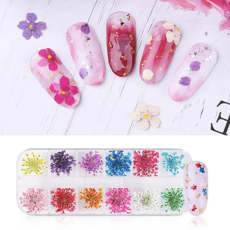 12Girds/Box 3D Decoration Daisy Gypsophila Real Dry Dried Flower for Gel Nail Art Tips DIY Nail Art
12Girds/Box 3D Decoration Daisy Gypsophila Real Dry Dried Flower for Gel Nail Art Tips DIY Nail Art