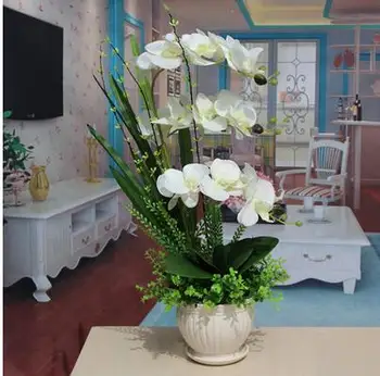 The new plastic flower flower pot multiselect simulation silk flowers flower butterfly orchid .christmas decorations for home
The new plastic flower flower pot multiselect simulation silk flowers flower butterfly orchid .christmas decorations for home