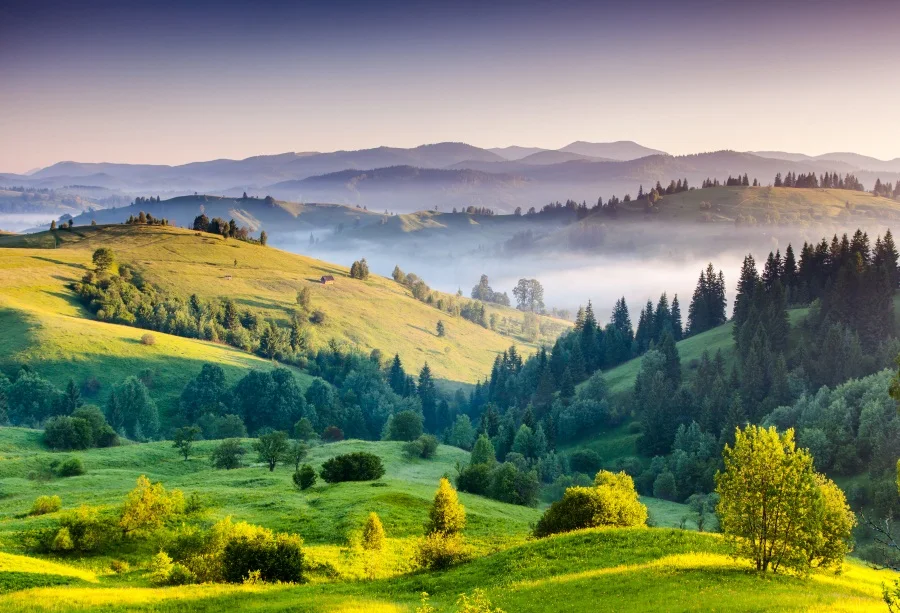 Laeacco Spring Mountains Forests Grassland Scenic Photography Background Customized Photographic Backdrop For Photo Studio
Laeacco Spring Mountains Forests Grassland Scenic Photography Background Customized Photographic Backdrop For Photo Studio