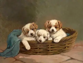 GOOD ART lovely and cute three puppies little dog in basket 100% hand painted oil painting on canvas free shipping
GOOD ART lovely and cute three puppies little dog in basket 100% hand painted oil painting on canvas free shipping