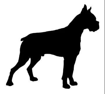 Cute Dog Boxer Decal Fashion Art Car Body Stickers Vinyl Art Pattern Self-adhesive Car Decor CY016
Cute Dog Boxer Decal Fashion Art Car Body Stickers Vinyl Art Pattern Self-adhesive Car Decor CY016