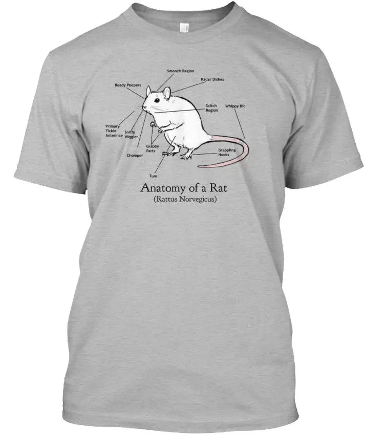 Anatomy Of A Rat - (Rattus Norvegicus) Mens Hot 2019 Summer Men Short Sleeves T Shirt Funny Tee Shirts
Anatomy Of A Rat - (Rattus Norvegicus) Mens Hot 2019 Summer Men Short Sleeves T Shirt Funny Tee Shirts