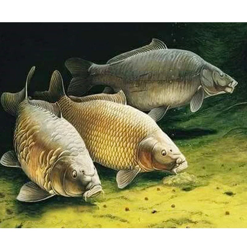 Handmade Diamond Embroidery New 5D Diy Diamond Painting Three carp Cross Stitch Diamond Mosaic Needlework Home Decor
Handmade Diamond Embroidery New 5D Diy Diamond Painting Three carp Cross Stitch Diamond Mosaic Needlework Home Decor