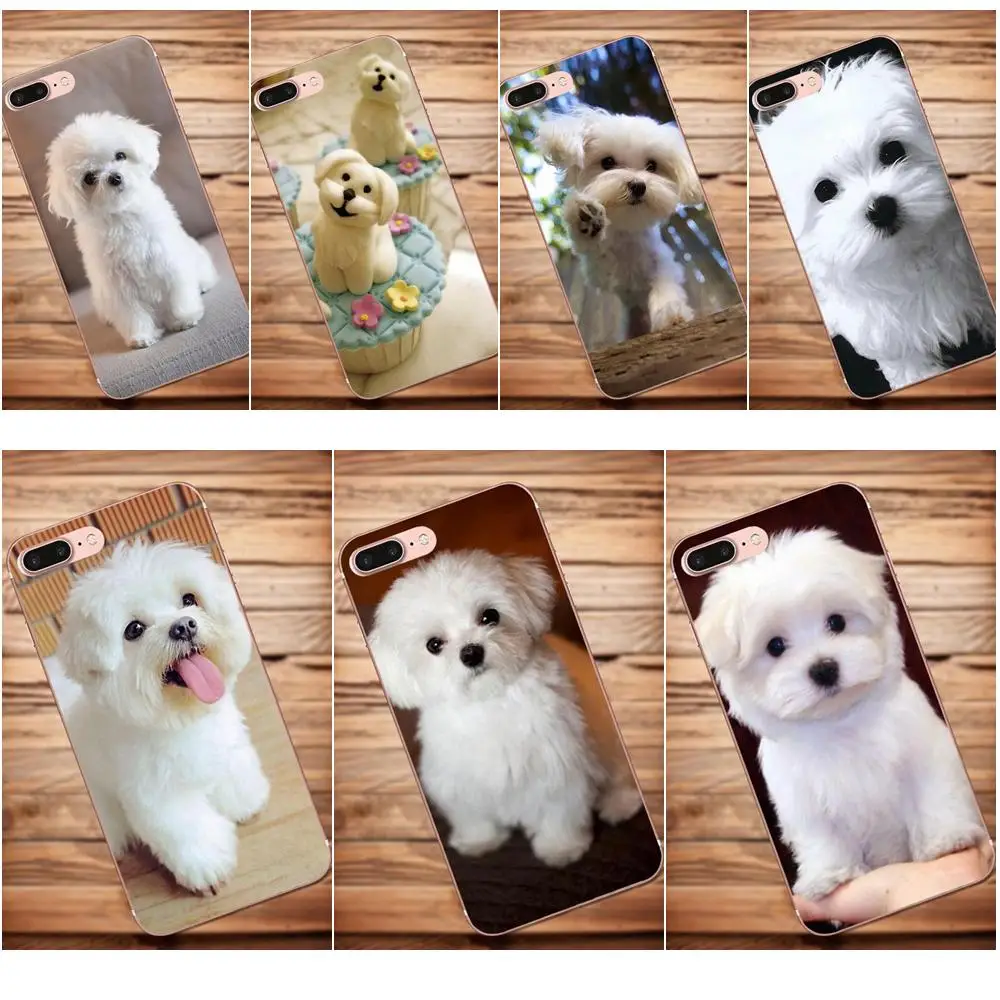 For Galaxy Alpha Core Prime Note 4 5 8 S3 S4 S5 S6 S7 S8 S9 mini edge Plus TPU Cell Phone Case Cover White Maltese Puppies Dog
For Galaxy Alpha Core Prime Note 4 5 8 S3 S4 S5 S6 S7 S8 S9 mini edge Plus TPU Cell Phone Case Cover White Maltese Puppies Dog