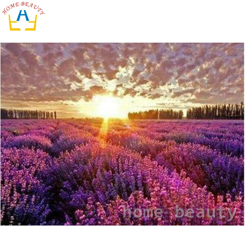 Diy oil painting by numbers hand painted paint coloring by number canvas painting picture home decor drawing lavender J080
Diy oil painting by numbers hand painted paint coloring by number canvas painting picture home decor drawing lavender J080