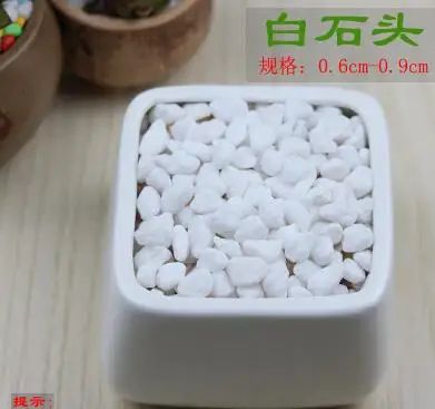100g/lot,White small stones&hydroponic plants medium flower pot gardening supplies decoration
100g/lot,White small stones&hydroponic plants medium flower pot gardening supplies decoration