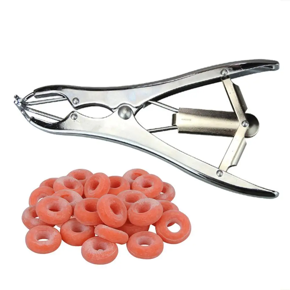 Pigtail Sheep Tail Docking Pliers Stainless Steel Tail Coupling Castration Clip Clamp Castration Hemostatic Rubber Ring
Pigtail Sheep Tail Docking Pliers Stainless Steel Tail Coupling Castration Clip Clamp Castration Hemostatic Rubber Ring