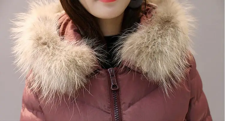 QQ20181116154638