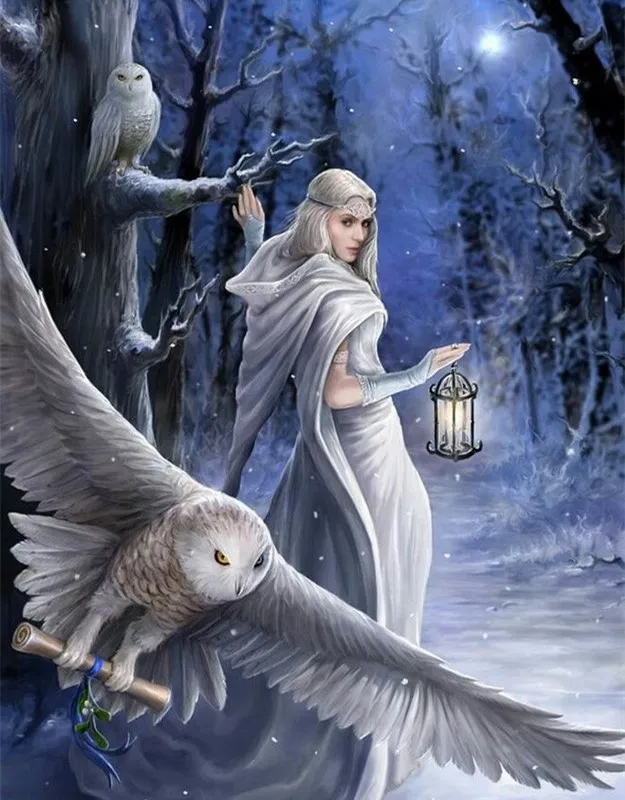 White Men and Owls DIY Painting By Numbers 24 Color Pigment Brush Painting Art Hand-painted Creative Digital Oil Painting
White Men and Owls DIY Painting By Numbers 24 Color Pigment Brush Painting Art Hand-painted Creative Digital Oil Painting