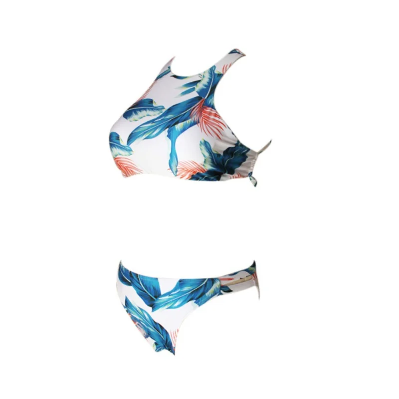 KH562B (3)