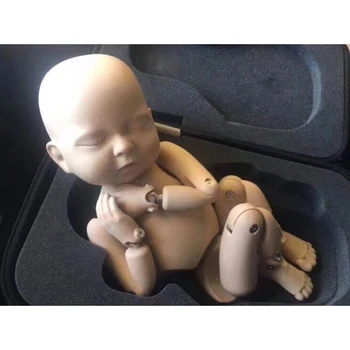 Posing Training Model Simulation Metal Ball Joint Doll flokati Baby Newborn Photography Props Studio Outfit Accessories
Posing Training Model Simulation Metal Ball Joint Doll flokati Baby Newborn Photography Props Studio Outfit Accessories