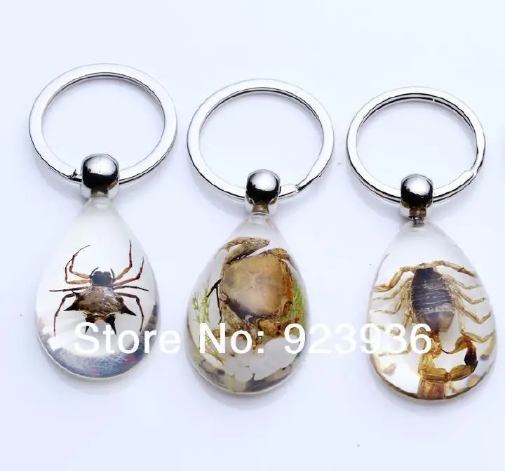 FREE SHIPPING 12 pcs Cool kEY Ring Present High Quality Real Scorpion Crab Spider Ice Drop Keychain
FREE SHIPPING 12 pcs Cool kEY Ring Present High Quality Real Scorpion Crab Spider Ice Drop Keychain