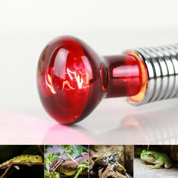 R63 60W E27 Pet Heating lamp Black Infrared Ceramic Emitter Heat Light Bulb Pet Brooder Chickens Reptile Lamp
R63 60W E27 Pet Heating lamp Black Infrared Ceramic Emitter Heat Light Bulb Pet Brooder Chickens Reptile Lamp