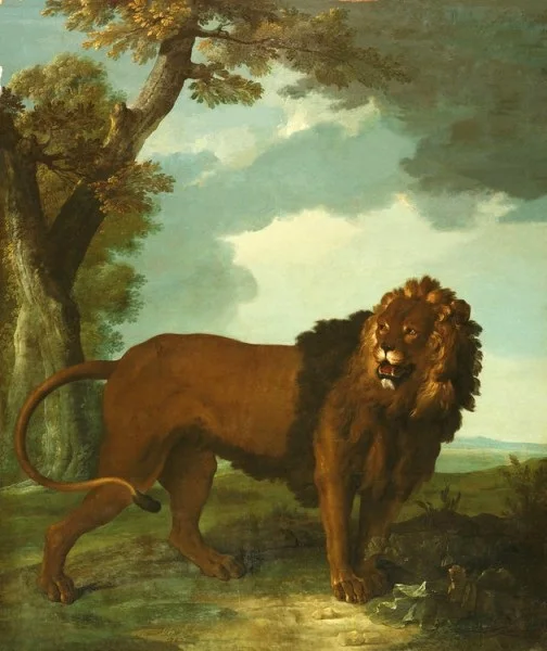 Oil Painting Reproduction,handmade oil painting,Dead Roe,Lion by Jean-Baptiste Oudry,Animal,Museum quaity
Oil Painting Reproduction,handmade oil painting,Dead Roe,Lion by Jean-Baptiste Oudry,Animal,Museum quaity
