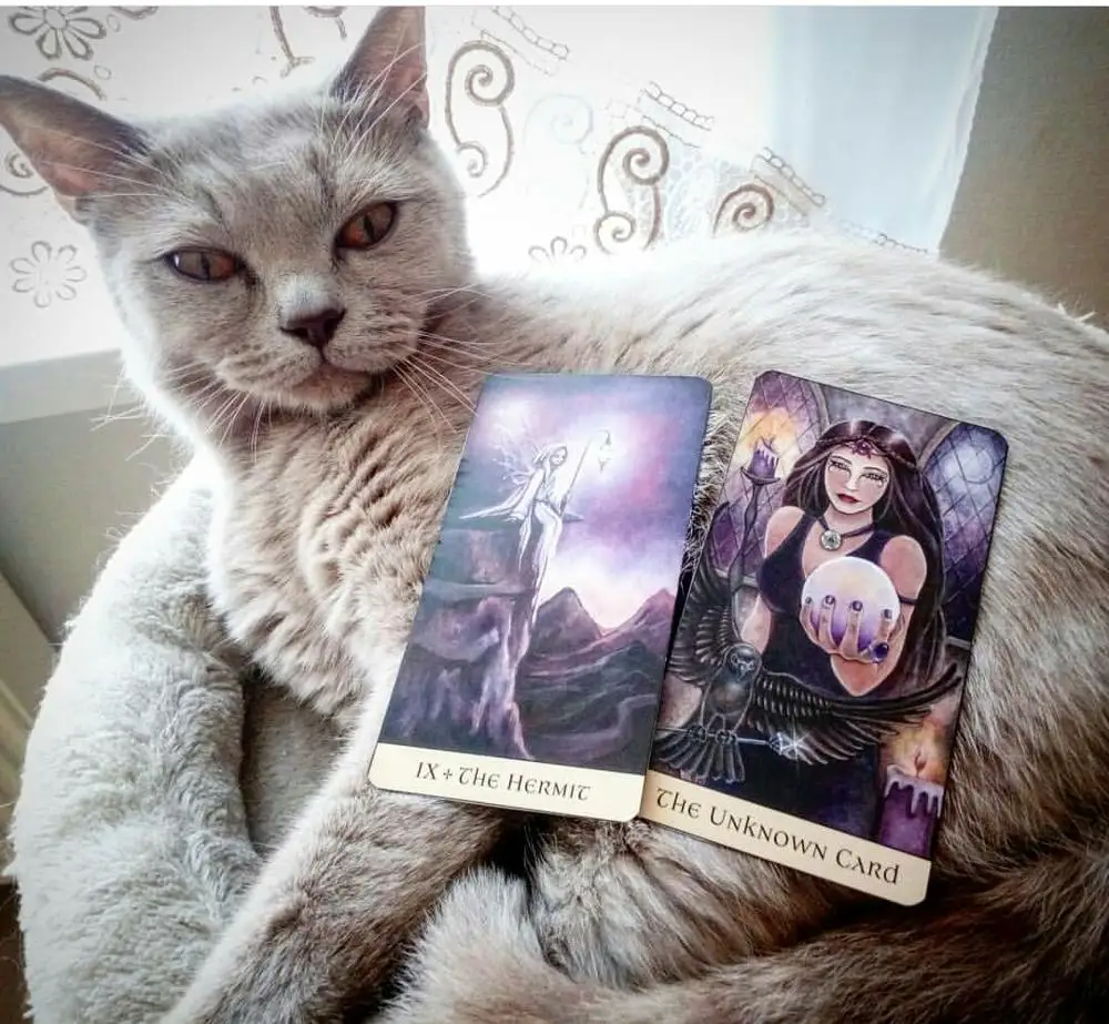 Full English 100% Original Crystal Visions Tarot cards Factory Made High Quality Tarot Deck Board Game Cards
Full English 100% Original Crystal Visions Tarot cards Factory Made High Quality Tarot Deck Board Game Cards