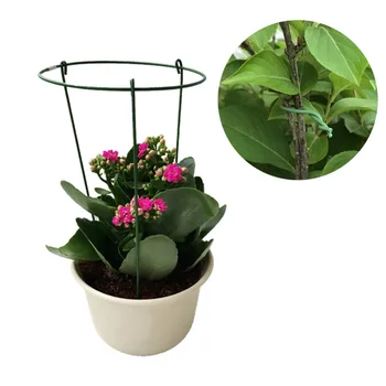 2.0mm*20m Plants Ties Plant Organizer Binding Diy Cable Wire Grafting Twist Plastic Gardening Accessories Best Selling
2.0mm*20m Plants Ties Plant Organizer Binding Diy Cable Wire Grafting Twist Plastic Gardening Accessories Best Selling