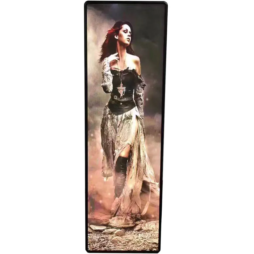 Indoor P2.5 LED Advertising Machine Magnetic Screw Universal Display Size 640*1920mm Store Posters Screen led Wall Player
Indoor P2.5 LED Advertising Machine Magnetic Screw Universal Display Size 640*1920mm Store Posters Screen led Wall Player